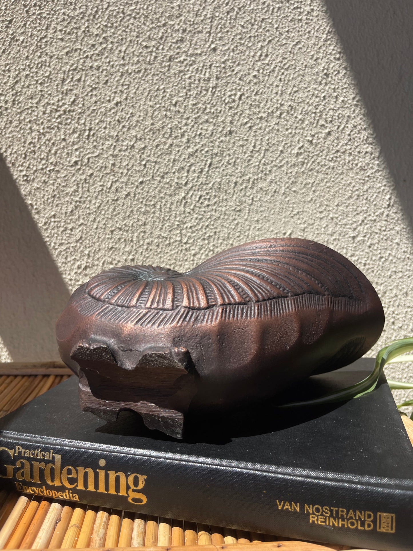 Bronzed Snail Shell Planter