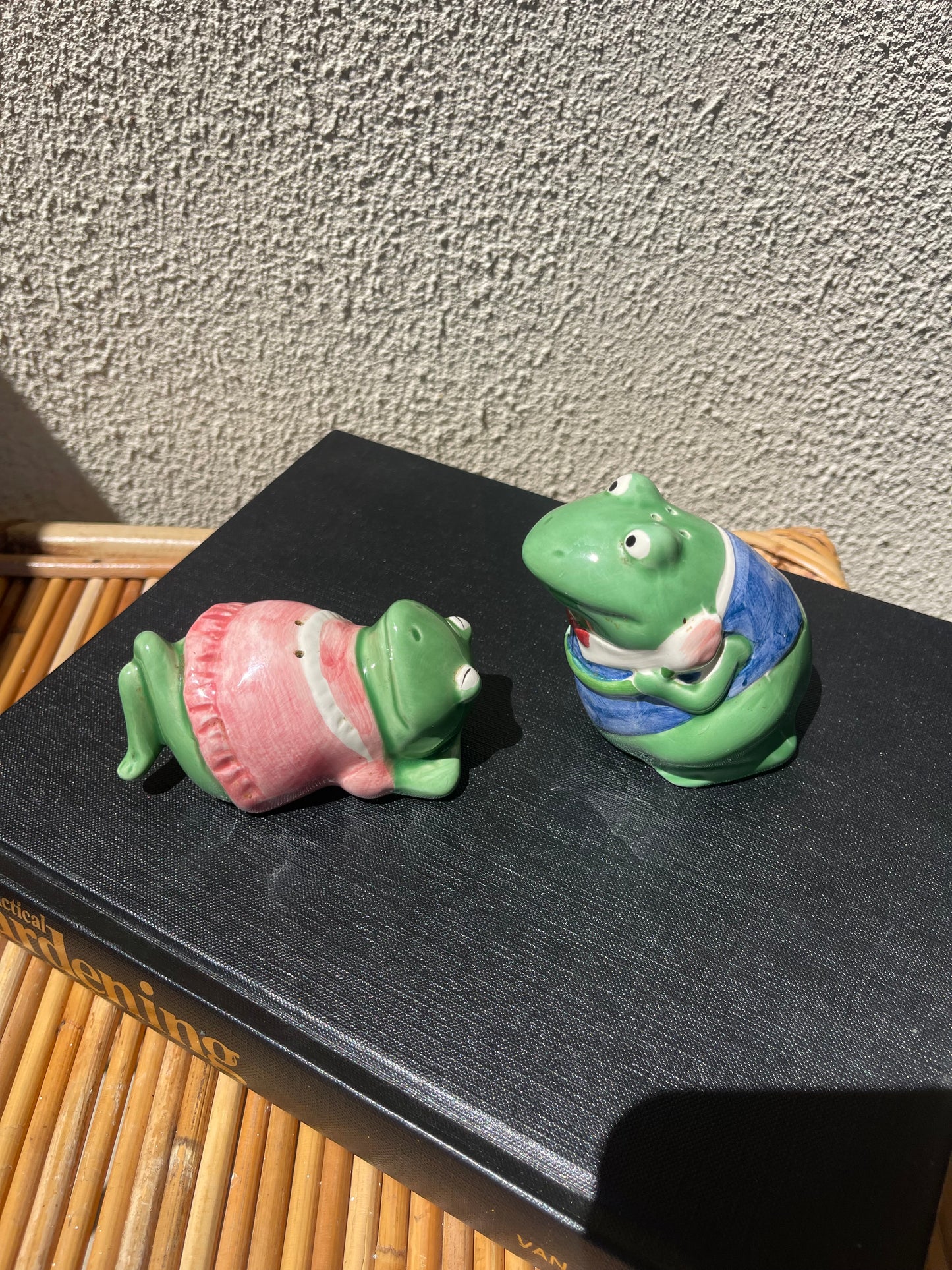 Vintage Frog Couple S&P Shakers