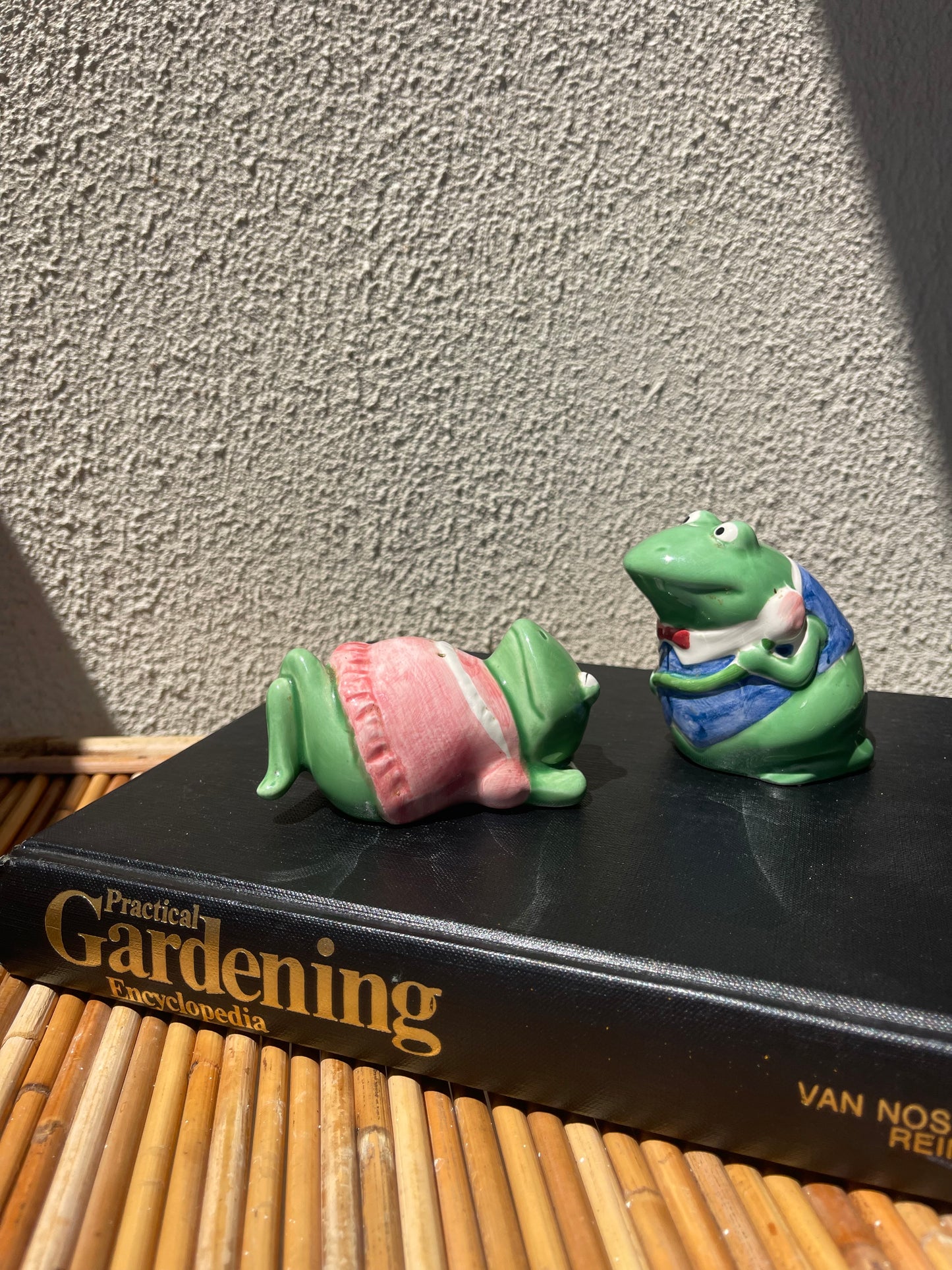 Vintage Frog Couple S&P Shakers
