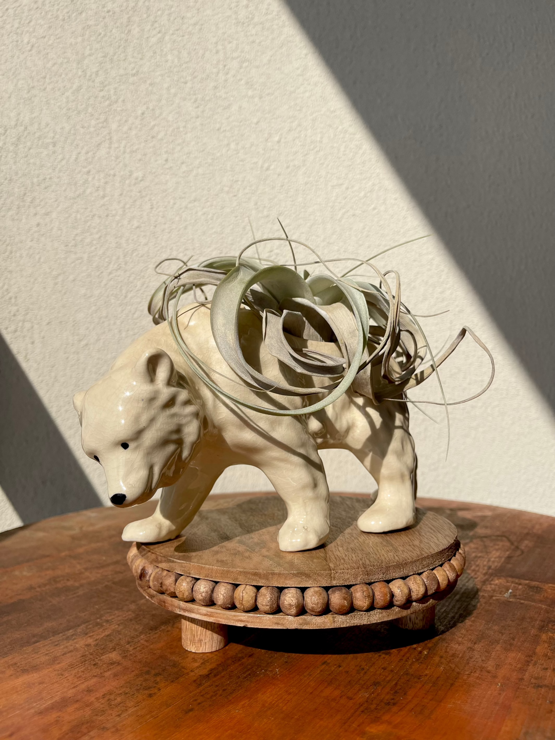 Polar Bear Planter Plant