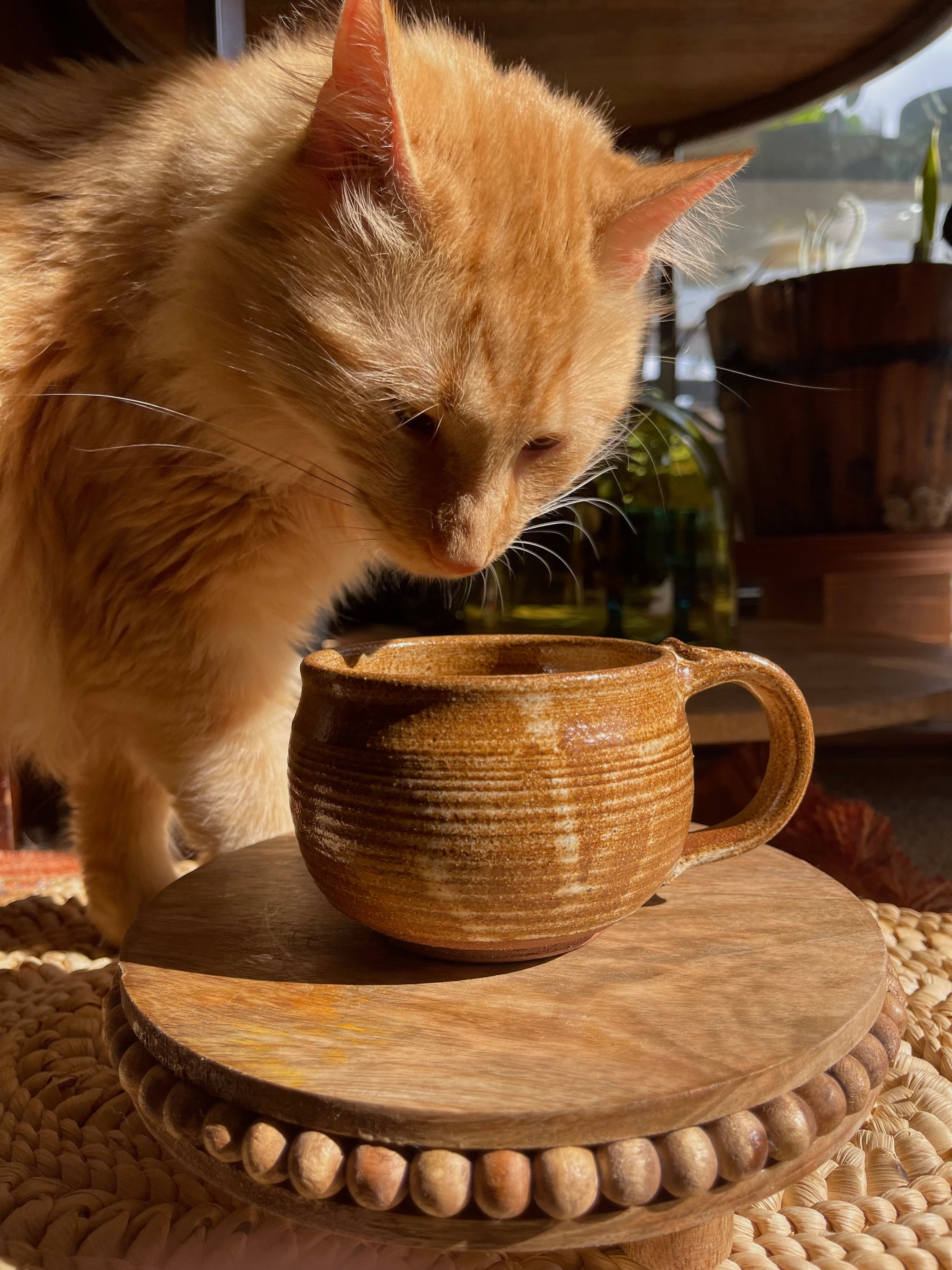 Vintage Handmade Pottery Mug with Cat