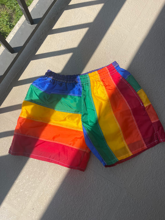 Limited Edition LTD. Vintage 90’s Pride Flag Shorts Large