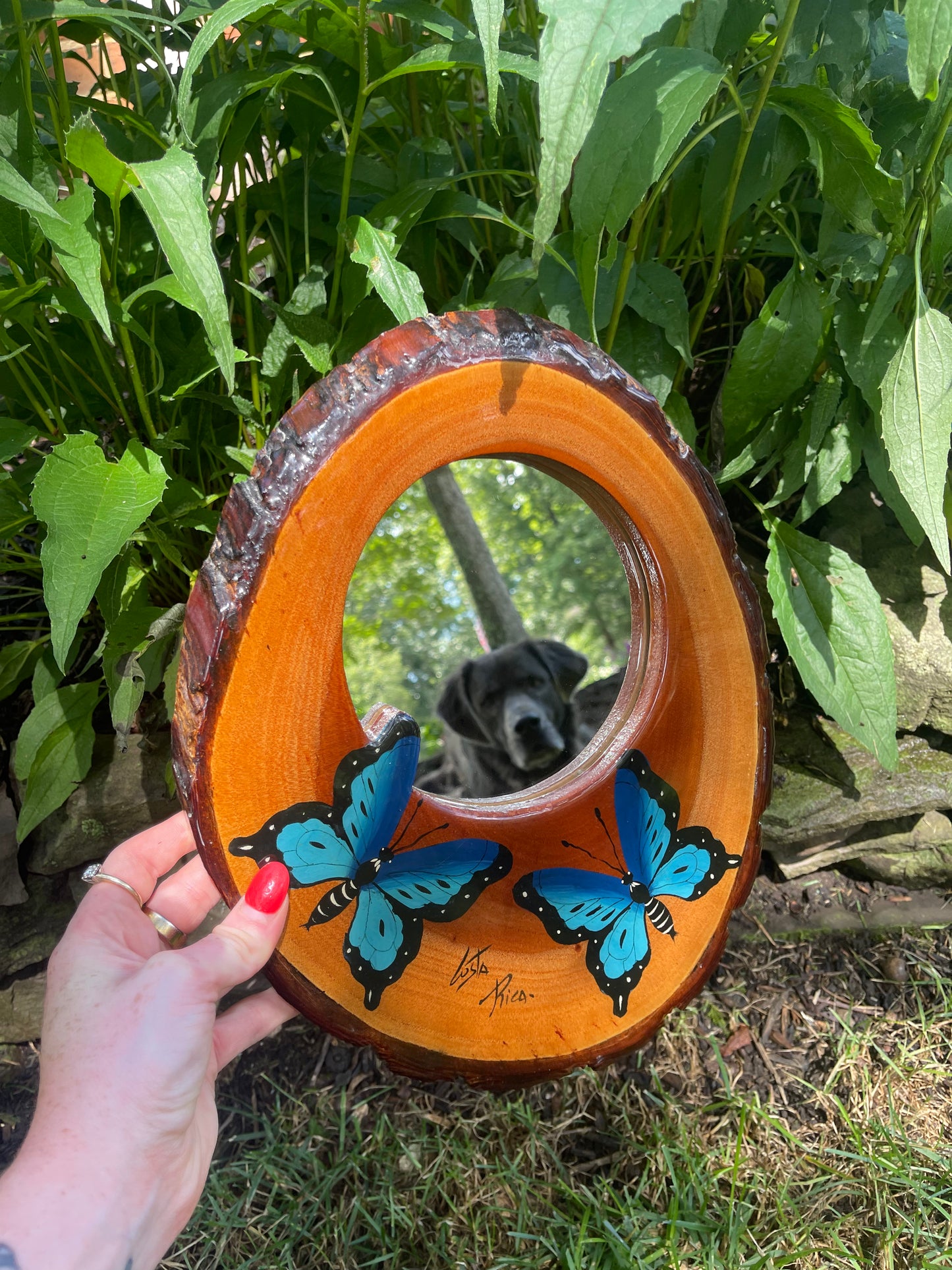 Vintage Wooden Butterfly Wall Mirror