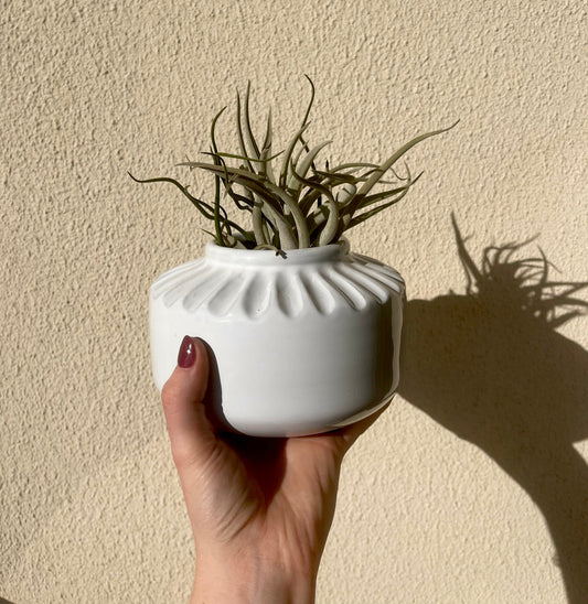 White glaze terra cotta planter