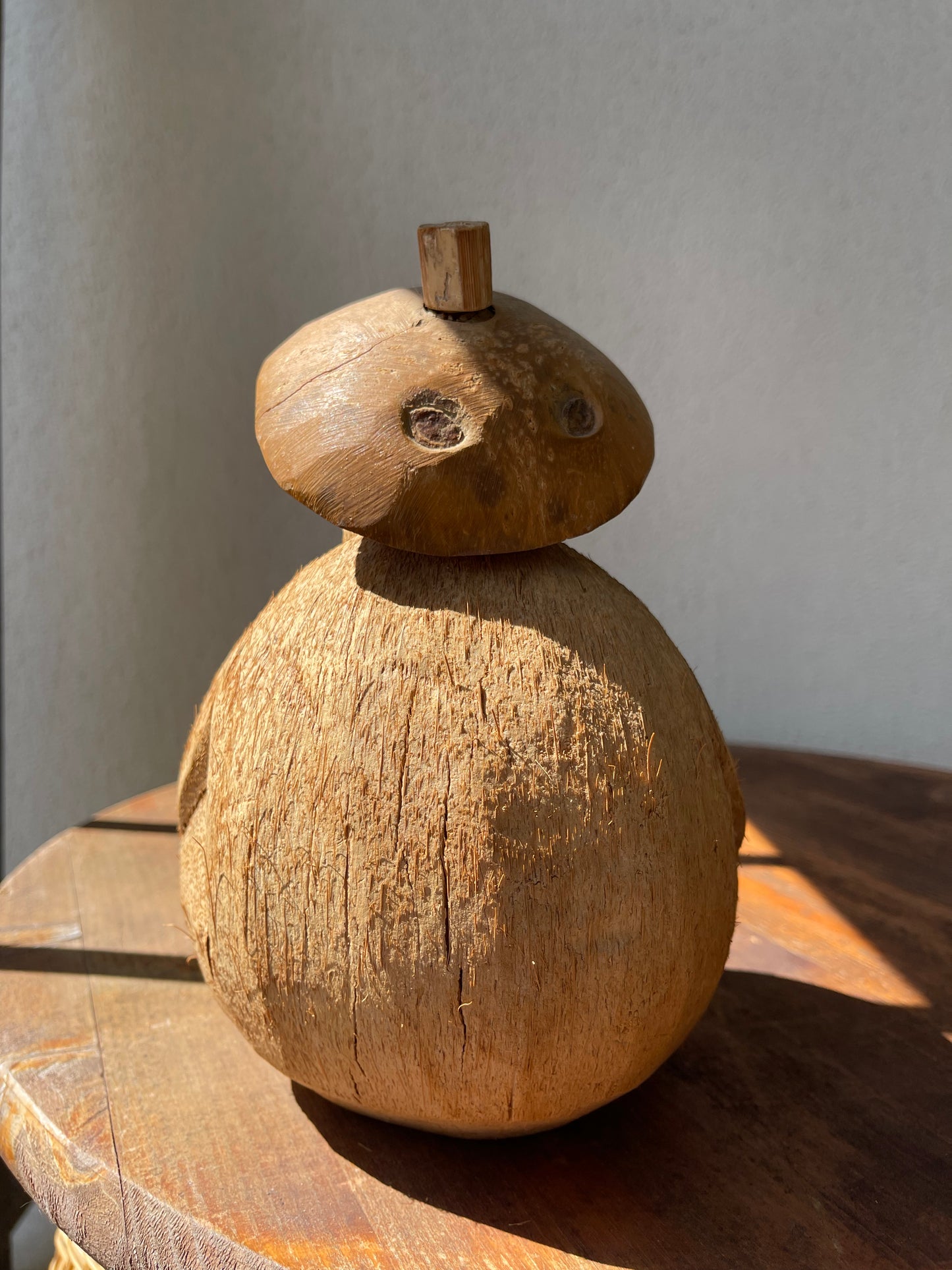 Handmade Coconut Monkey Bank