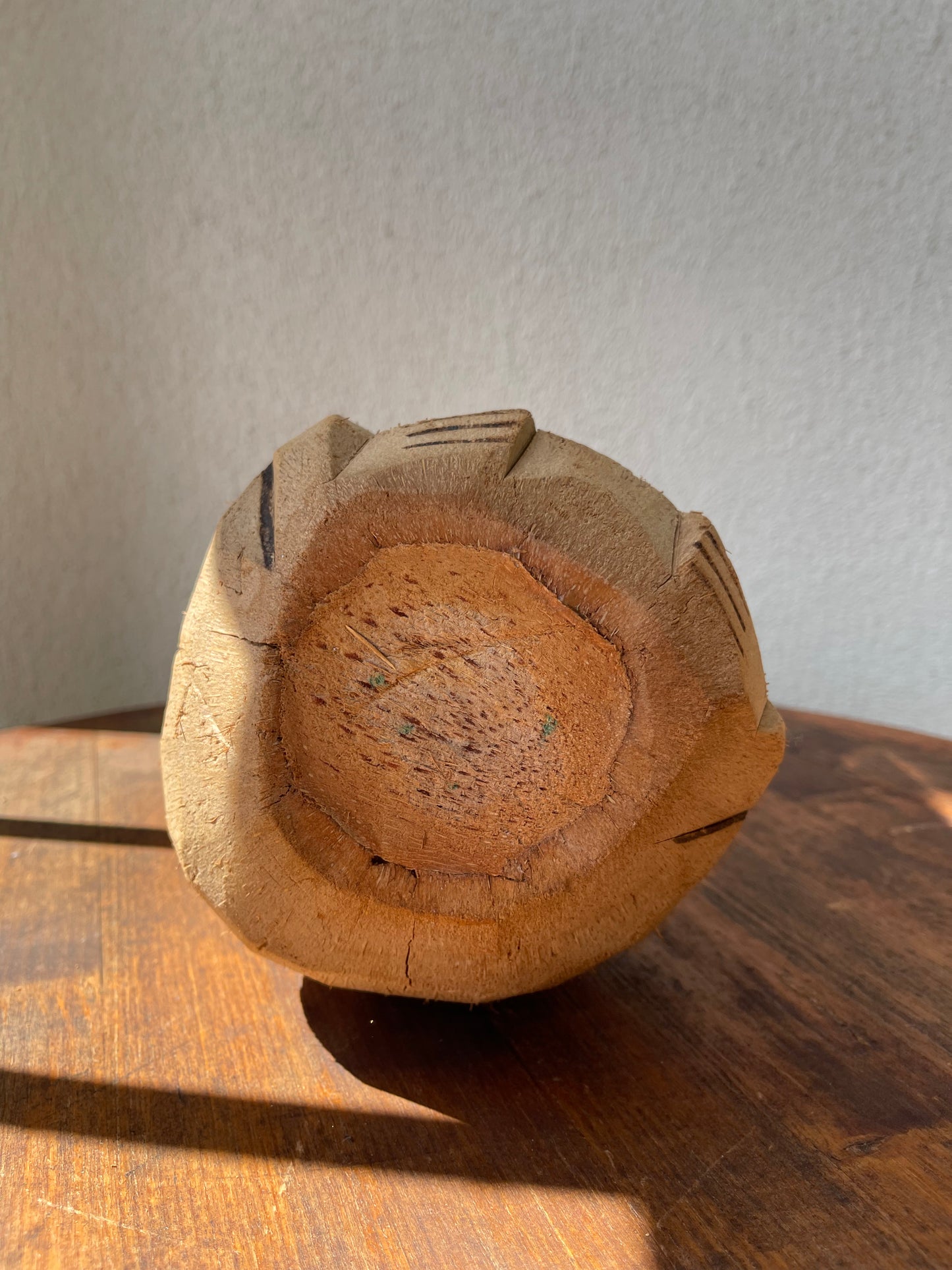 Handmade Coconut Monkey Bank