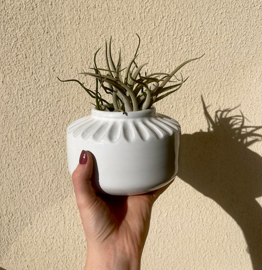 White Glaze Terracotta Planter